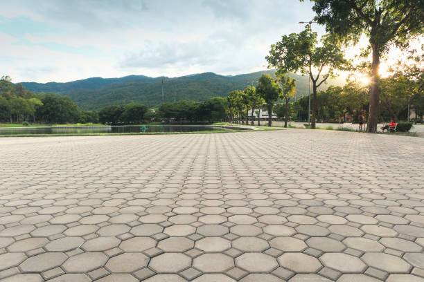 Best Professional Driveway Pavers  in New Bern, NC